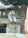 東武動物公園に投稿された画像（2026/5/6）