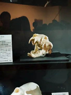 特別展「超危険生物展　科学で挑む生き物の本気」に投稿された画像（2026/5/6）