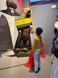 特別展「超危険生物展　科学で挑む生き物の本気」に投稿された画像（2026/5/6）
