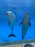 名古屋港水族館に投稿された画像（2026/5/6）