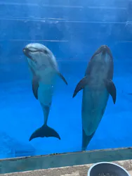 名古屋港水族館に投稿された画像（2026/5/6）