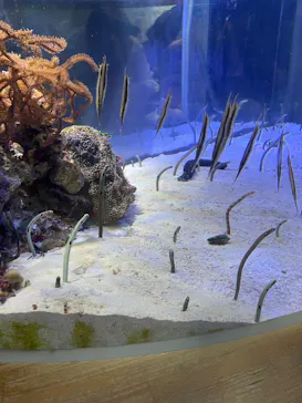名古屋港水族館に投稿された画像（2026/5/6）