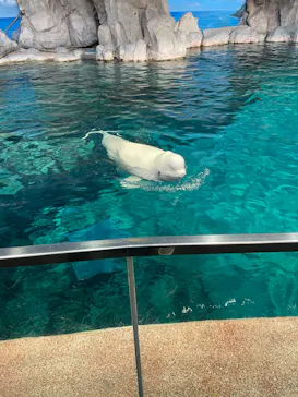 名古屋港水族館に投稿された画像（2026/5/6）