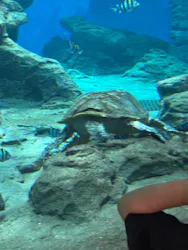 名古屋港水族館に投稿された画像（2026/5/6）