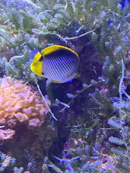 名古屋港水族館に投稿された画像（2026/5/6）