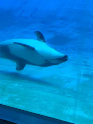 名古屋港水族館に投稿された画像（2026/5/6）
