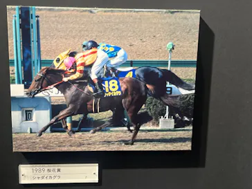 武豊 デビュー40年 ～前人未到の記録～　（銀座三越）に投稿された画像（2026/5/6）