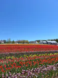牧歌の里に投稿された画像（2026/5/6）