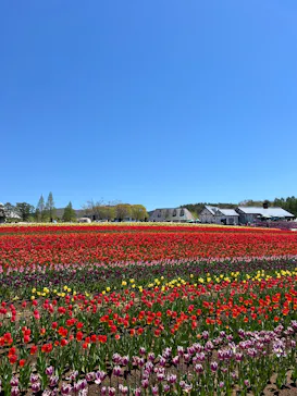 牧歌の里に投稿された画像（2026/5/6）