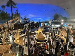 福井県立恐竜博物館に投稿された画像（2026/5/6）