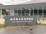 福井県立恐竜博物館に投稿された画像（2026/5/6）