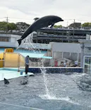 越前松島水族館に投稿された画像（2026/5/6）