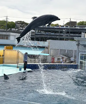 越前松島水族館に投稿された画像（2026/5/6）
