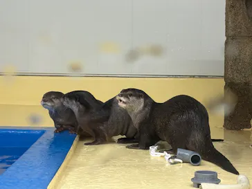 越前松島水族館に投稿された画像（2026/5/6）