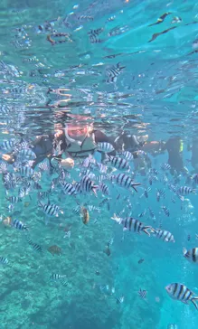 武藤潜水に投稿された画像（2026/5/6）
