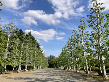新宿御苑に投稿された画像（2026/5/6）