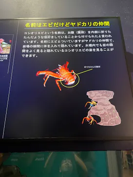 アクアワールド茨城県大洗水族館に投稿された画像（2026/5/6）