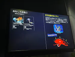 アクアワールド茨城県大洗水族館に投稿された画像（2026/5/6）