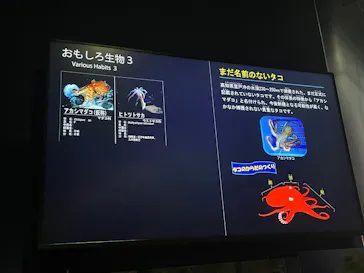 アクアワールド茨城県大洗水族館に投稿された画像（2026/5/6）