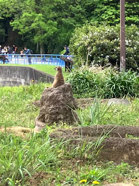 千葉市動物公園に投稿された画像（2026/5/6）
