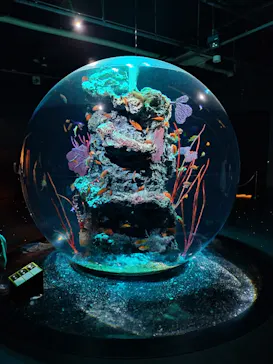 AQUARIUM × ART　atoaに投稿された画像（2026/5/6）
