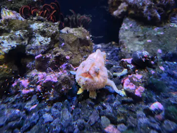 AQUARIUM × ART　atoaに投稿された画像（2026/5/6）