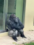 名古屋市東山動植物園に投稿された画像（2026/5/6）