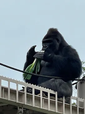 名古屋市東山動植物園に投稿された画像（2026/5/6）