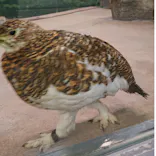 いしかわ動物園に投稿された画像（2026/5/6）