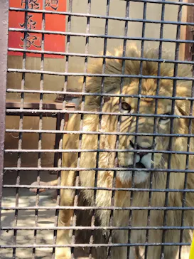 宇都宮動物園に投稿された画像（2026/5/6）