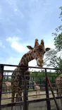 宇都宮動物園に投稿された画像（2026/5/6）