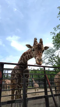 宇都宮動物園に投稿された画像（2026/5/6）