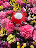 やまぐちフラワーランドに投稿された画像（2026/5/6）