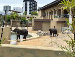 天王寺動物園に投稿された画像（2026/5/6）