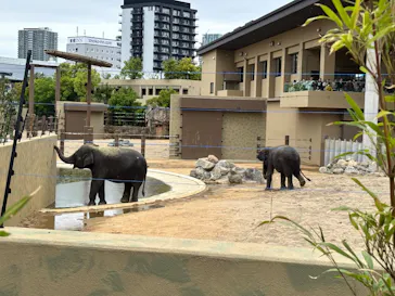 天王寺動物園に投稿された画像（2026/5/6）
