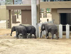 天王寺動物園に投稿された画像（2026/5/6）