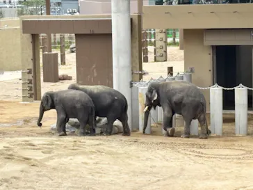 天王寺動物園に投稿された画像（2026/5/6）