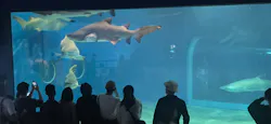 アクアワールド茨城県大洗水族館に投稿された画像（2026/5/6）
