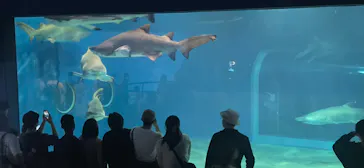 アクアワールド茨城県大洗水族館に投稿された画像（2026/5/6）