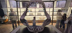 アクアワールド茨城県大洗水族館に投稿された画像（2026/5/6）