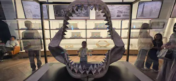 アクアワールド茨城県大洗水族館に投稿された画像（2026/5/6）