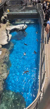 アクアワールド茨城県大洗水族館に投稿された画像（2026/5/6）