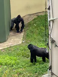 名古屋市東山動植物園に投稿された画像（2026/5/6）
