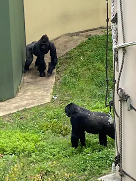 名古屋市東山動植物園に投稿された画像（2026/5/6）