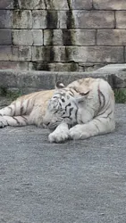 東武動物公園に投稿された画像（2026/5/6）