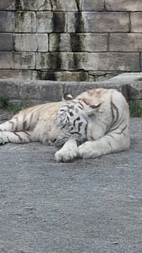 東武動物公園に投稿された画像（2026/5/6）