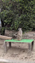 東武動物公園に投稿された画像（2026/5/6）