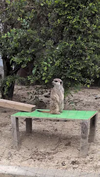 東武動物公園に投稿された画像（2026/5/6）