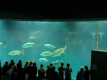 葛西臨海水族園に投稿された画像（2026/5/6）
