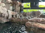 京都水族館に投稿された画像（2026/5/6）